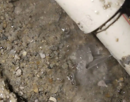 洛扎测漏水电话号码