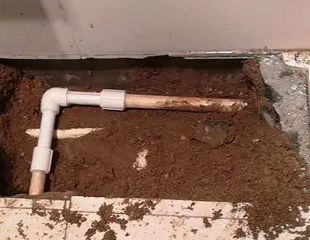 洛扎测漏水哪家好