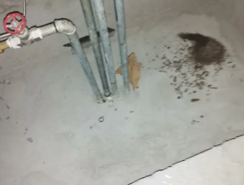 洛扎卫生间测漏水价格明细