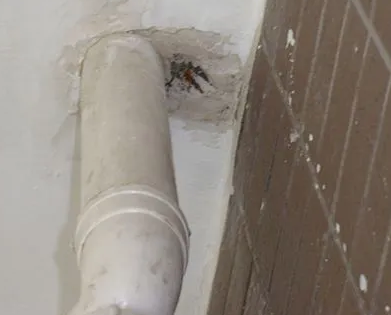 洛扎漏水检测哪家好