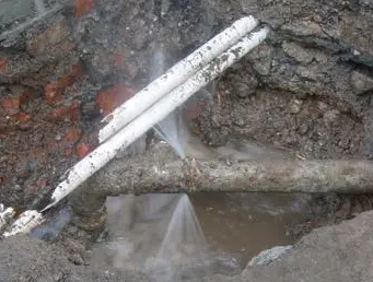 洛扎测漏水多少钱